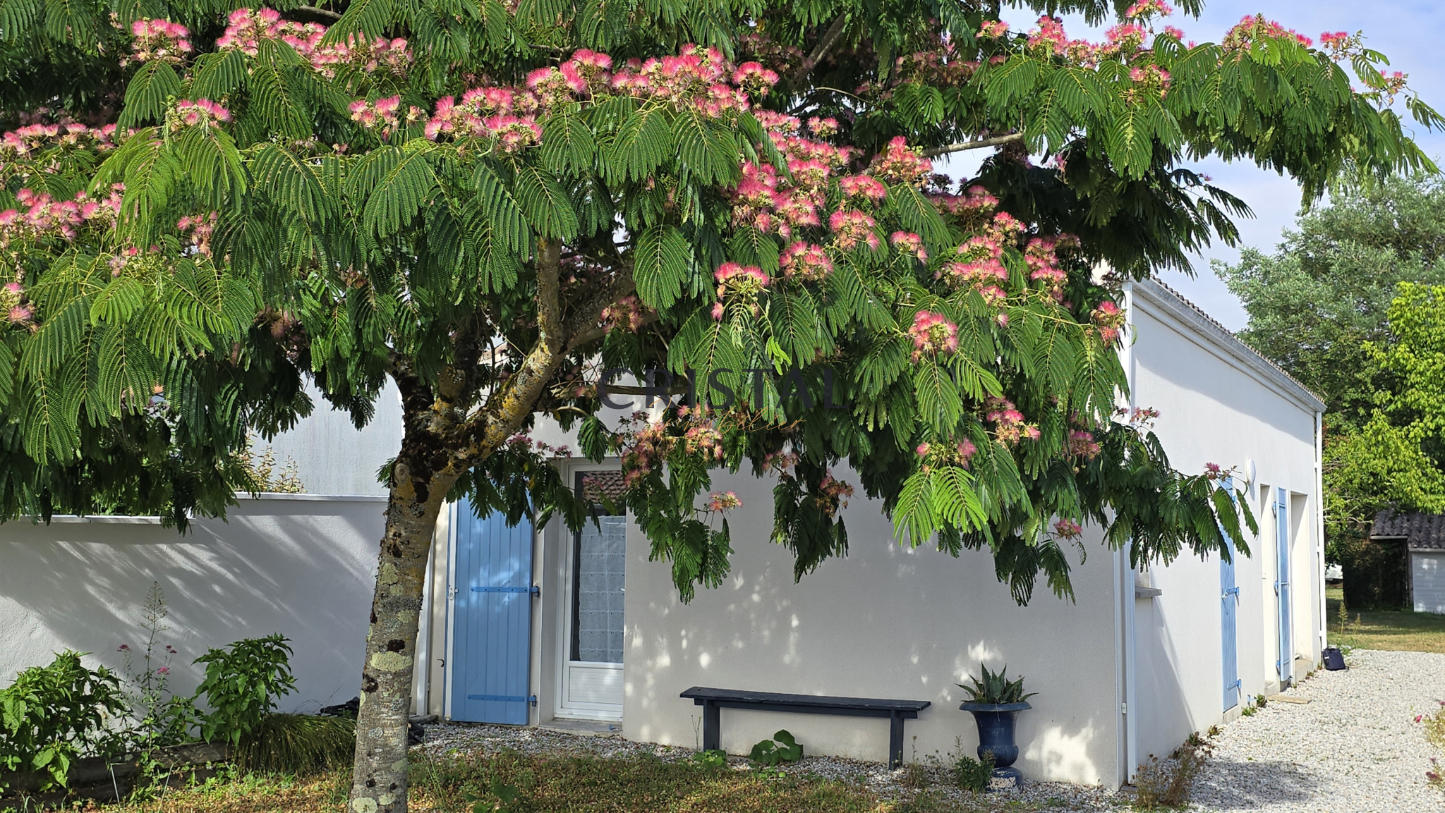Agence immobilière de Cristal Immobilier